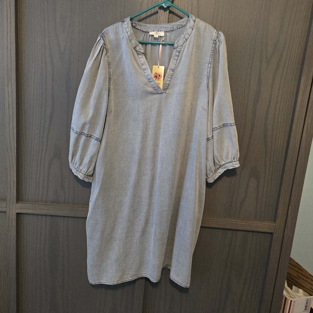 Women's Denim Dress